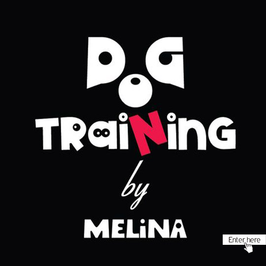 dog training melina